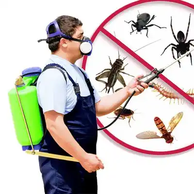 pest control Troy